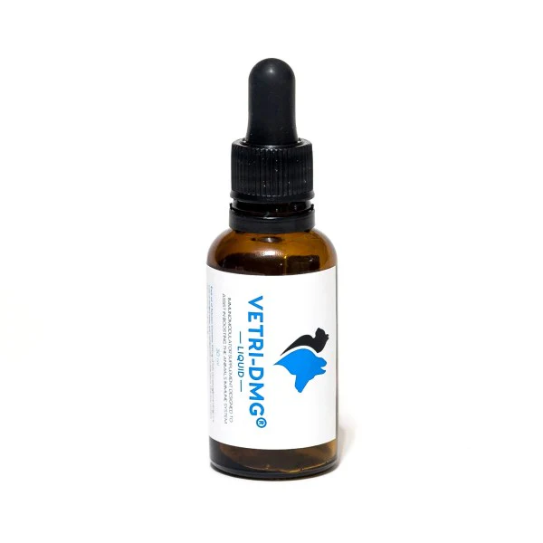 Dog Supplements